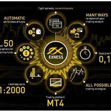 Exness: Tingkatkan Pengalaman Trading Forex Anda Exness: Tingkatkan Pengalaman Trading Forex Anda